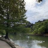 River Road Park