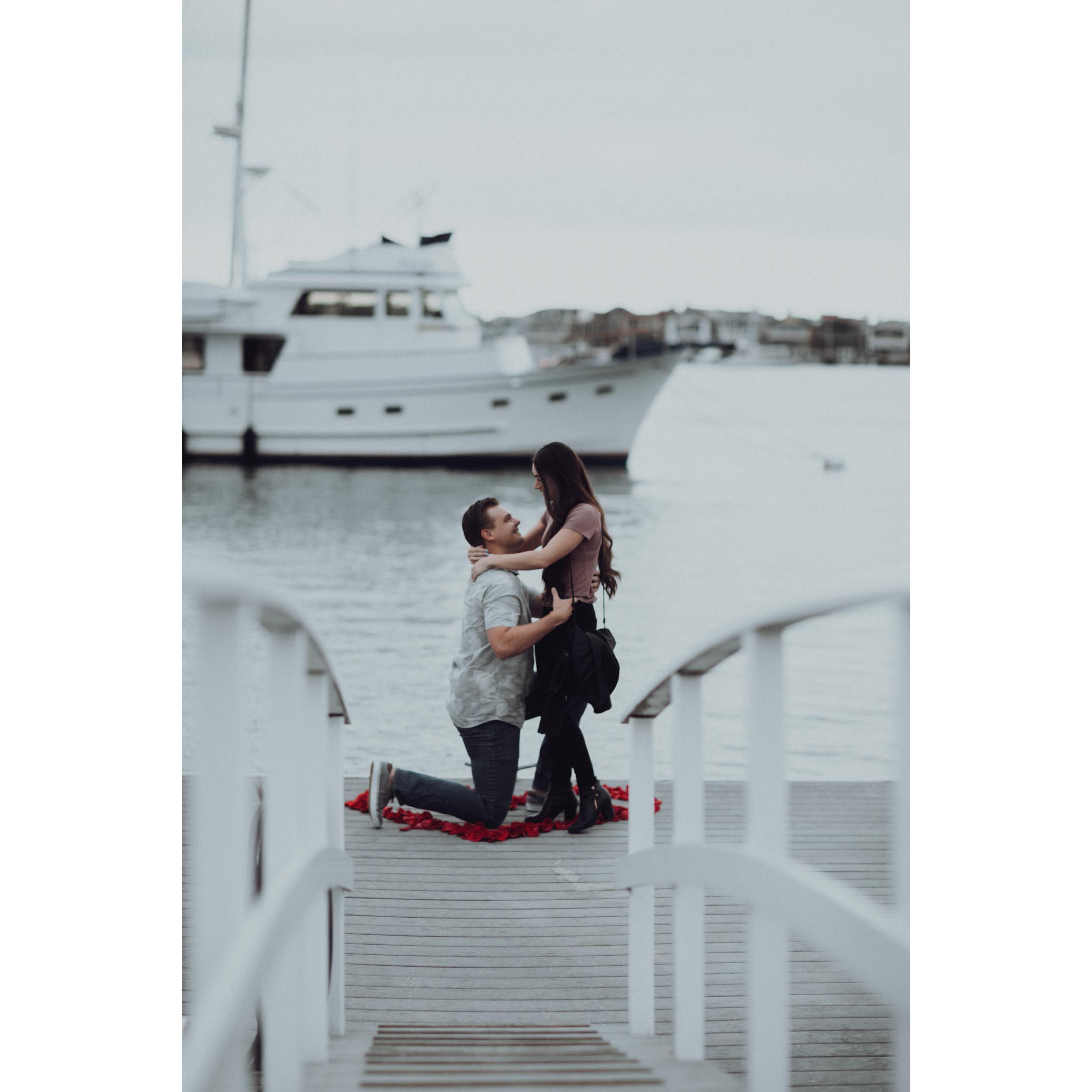 The proposal!