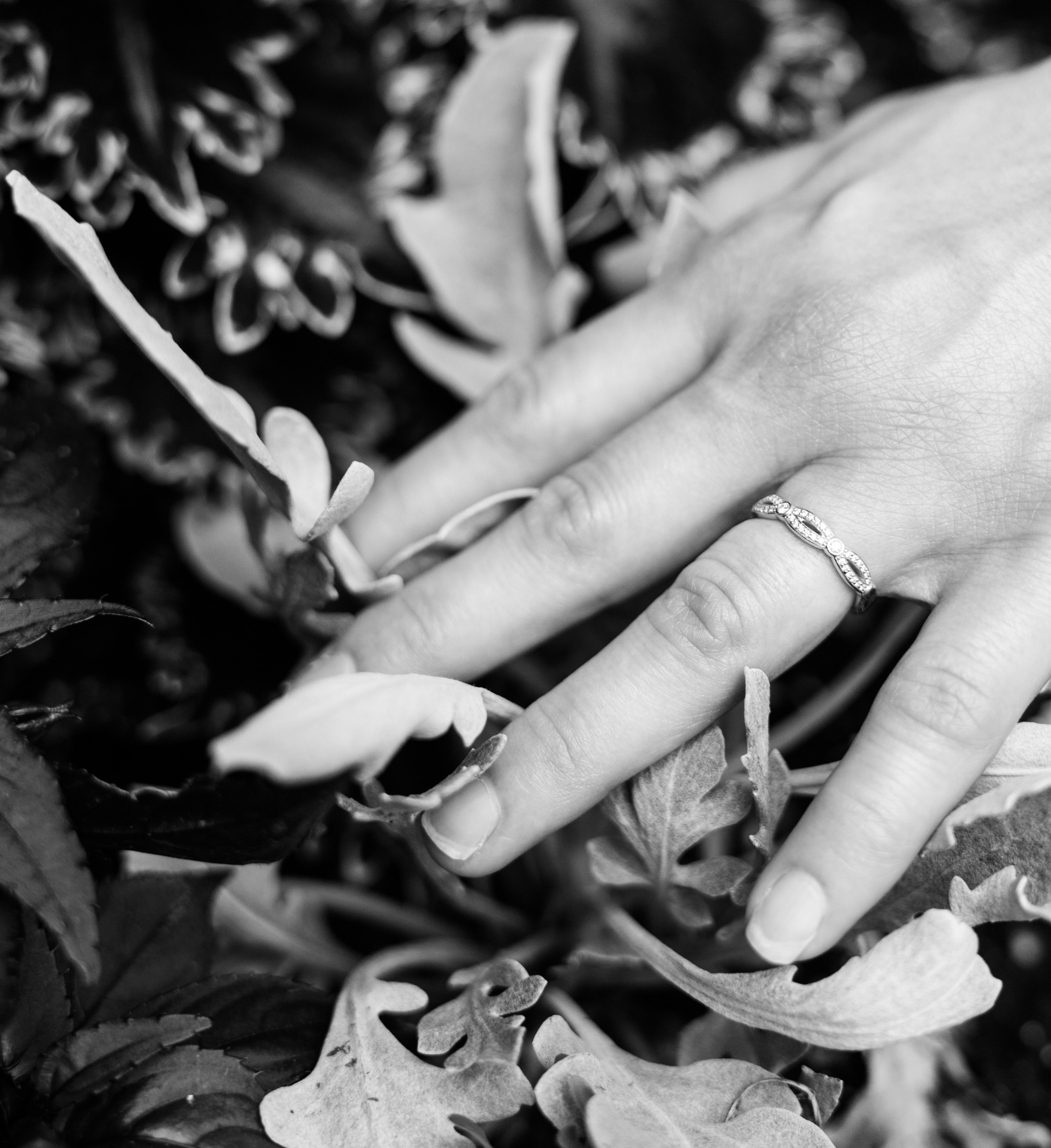 The Wedding Website of Desiree Young and Ryan Calhoun
