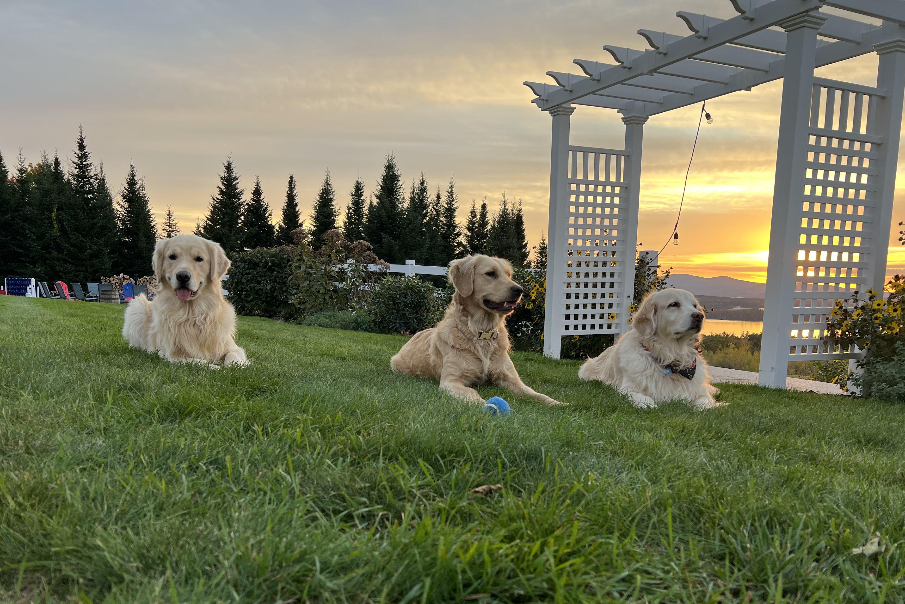 The Wedding Website of Victoria DeWitt and Alejandro Ruiz