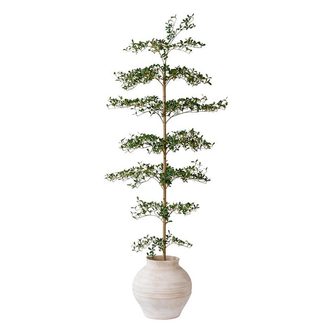 VYNT Black Olive Tree Artificial 7 Feet Tall, Artificial Shady Lady Tree, Faux Decorative Tree