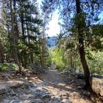 North Tenmile Creek Trailhead