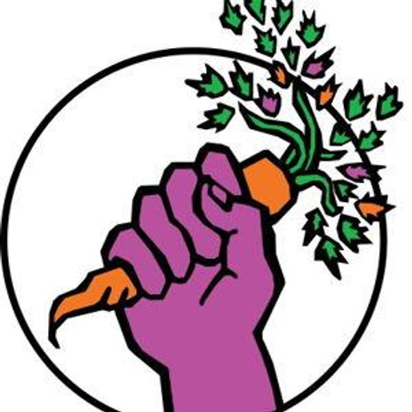 Donate to Food Not Bombs Raleigh