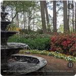 WRAL Azalea Garden