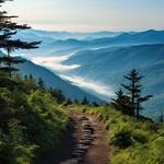Hiking