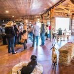 GoatHouse Brewing Co.