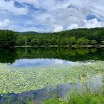 Walk Bass Lake
