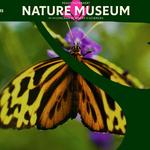 Peggy Notebaert Nature Museum