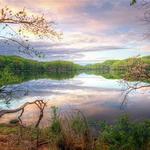 Radnor Lake State Park