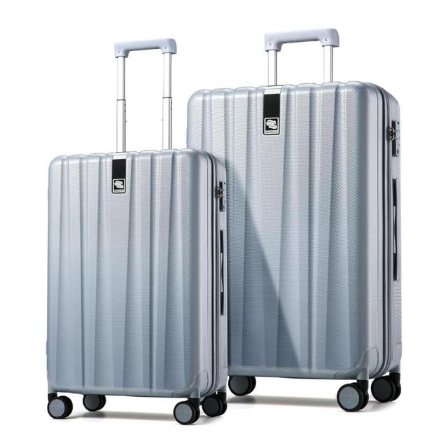 2-Piece Suitcase Set (20/29 Inch) - Gray