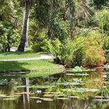 McKee Botanical Garden