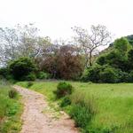 Marian Bear Memorial Park