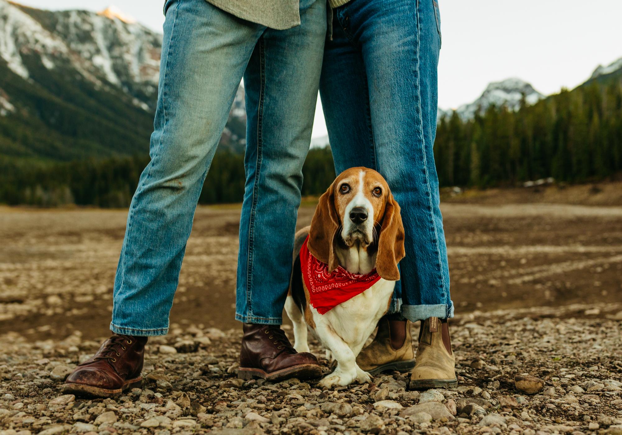 The Wedding Website of Sam Kelly and Jake Dubé