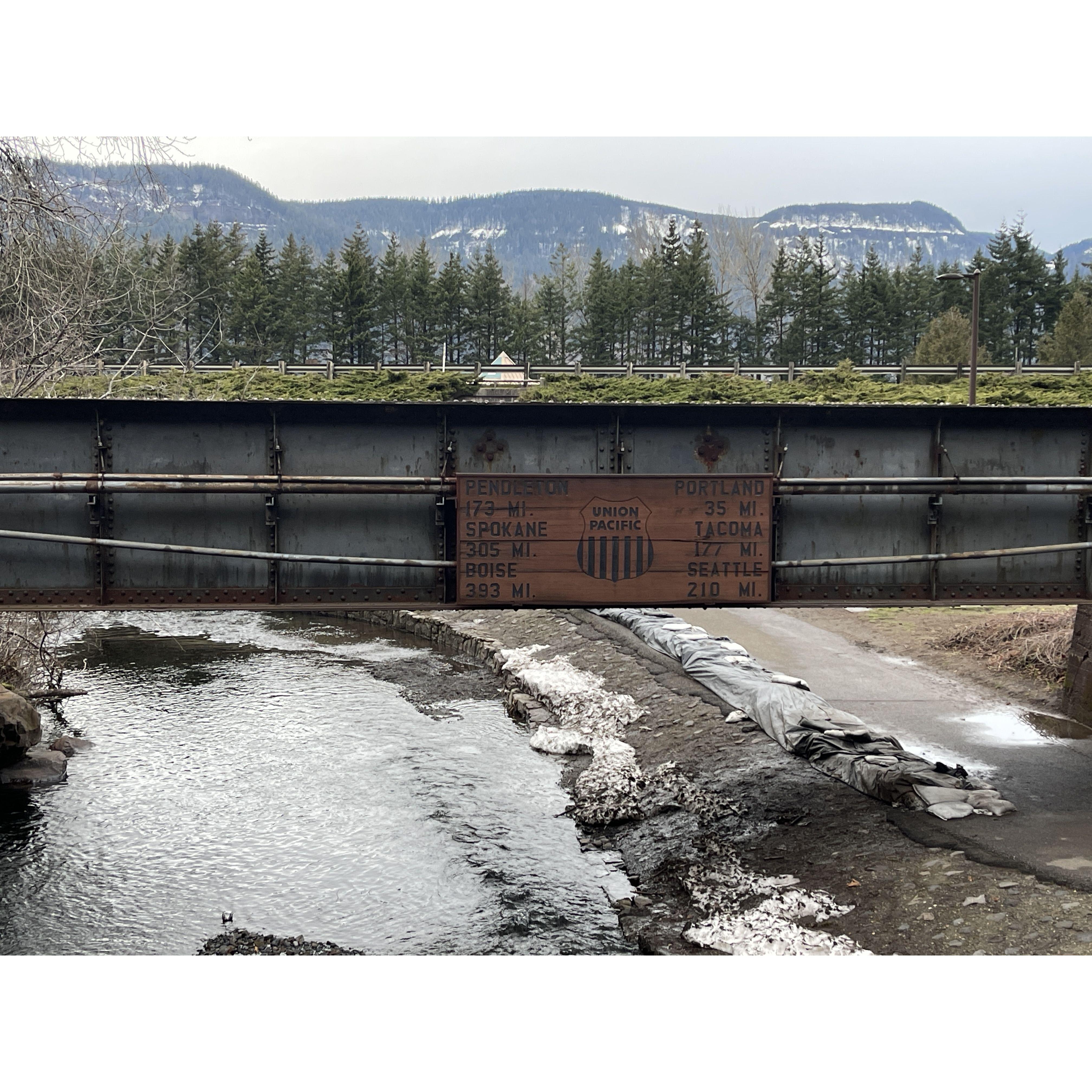 Forks and Multnomah Falls 3/12/23
