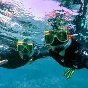 Snorkeling on Great Barrier Reef