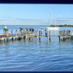 Shore - Longboat Key
