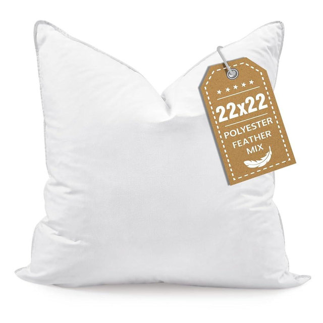BHZ 22x22 Throw Pillow Insert