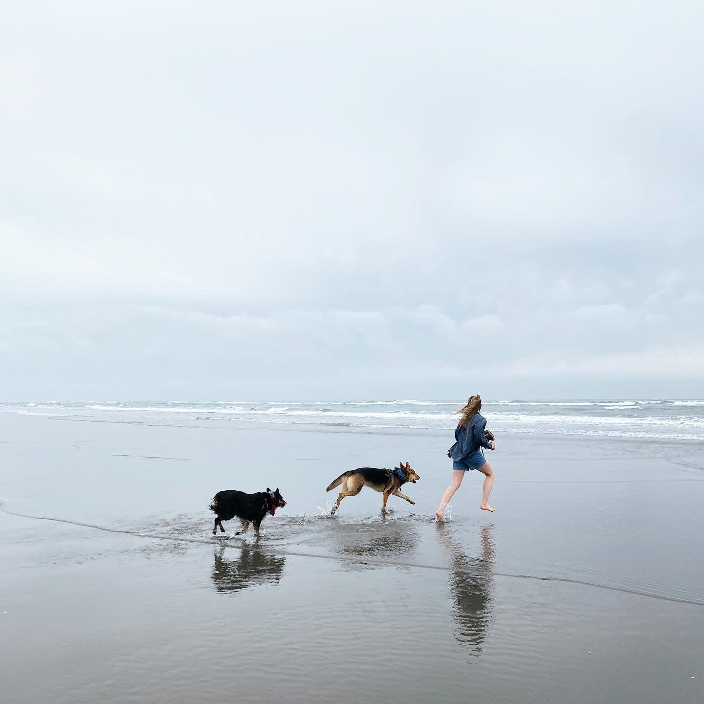 Doggies first time ever seeing the ocean!!!