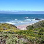 Andrew Molera State Park