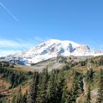 Mount Rainier National Park - Paradise