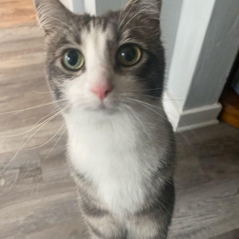 Our beautiful alien daughter, Umi