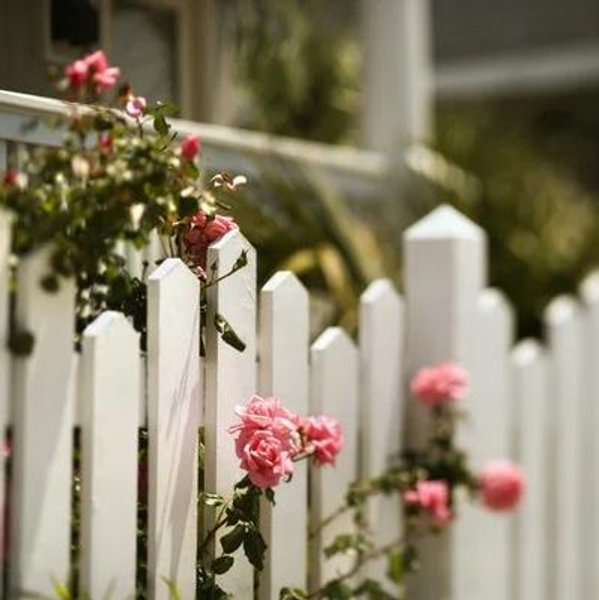 Our Home Renovation Fund