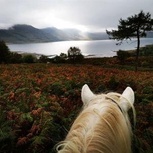 Horse Trek - Isle of Mull