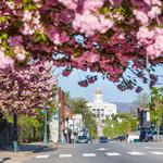 Explore Downtown Sylva