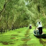 Đồng bằng Sông Cửu Long (Mekong Delta)