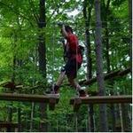 Tree Trekkers Frederick Outdoor Aerial Adventure Ropes and Zipline Park