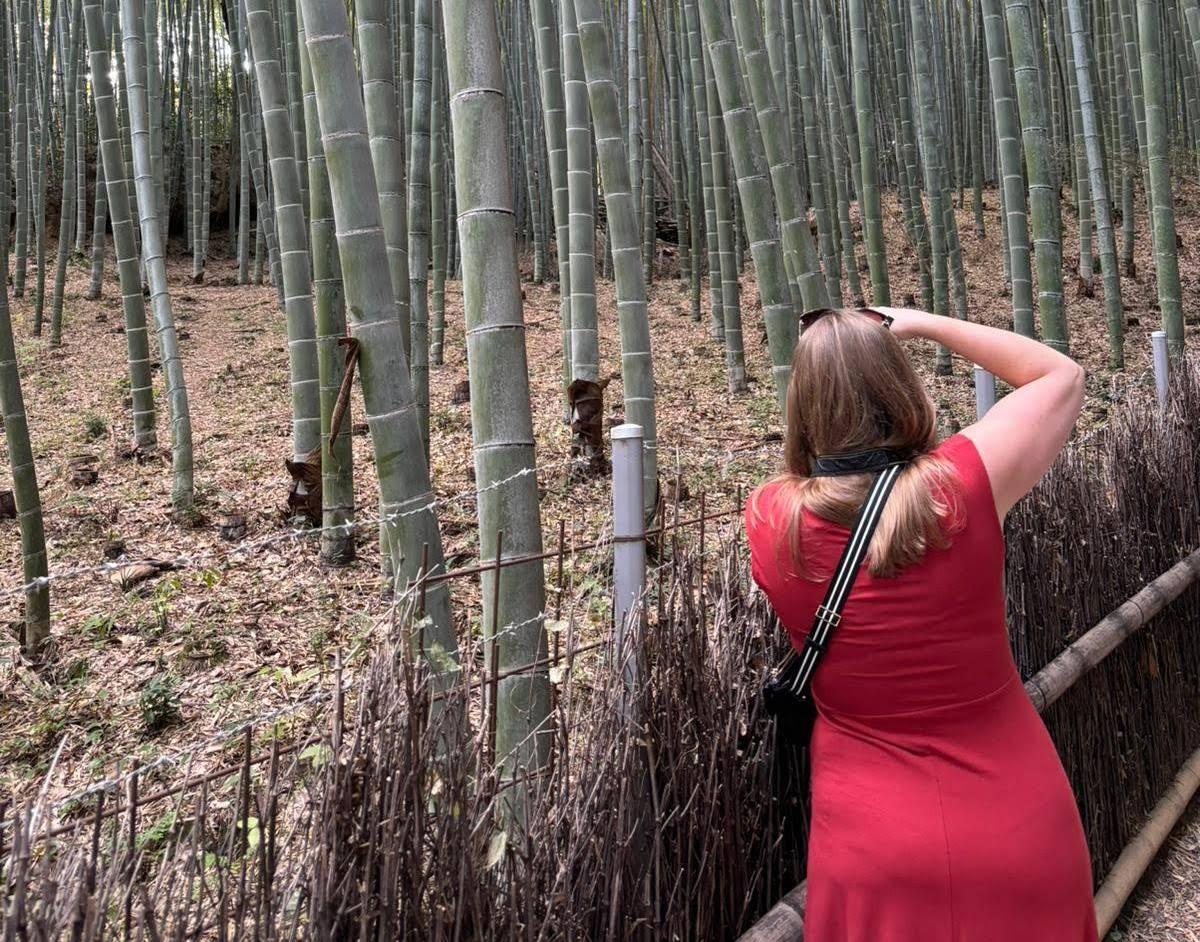 The Wedding Website of Lindsey Thurston and Zubin Forbes