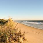 Beaches