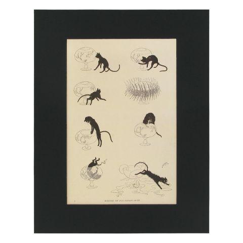 Des Chats Print, Large