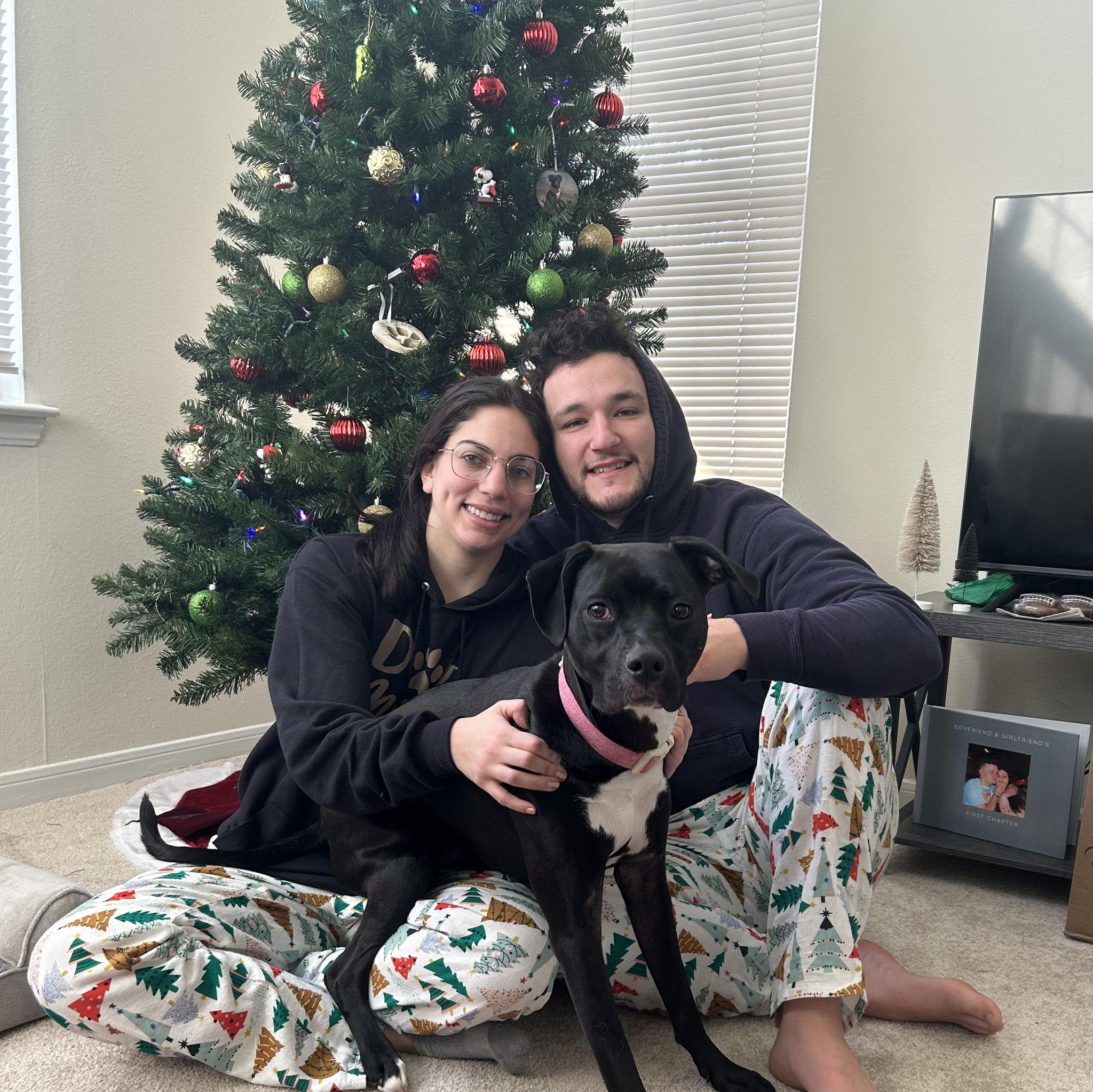 Our first Christmas with our fur baby