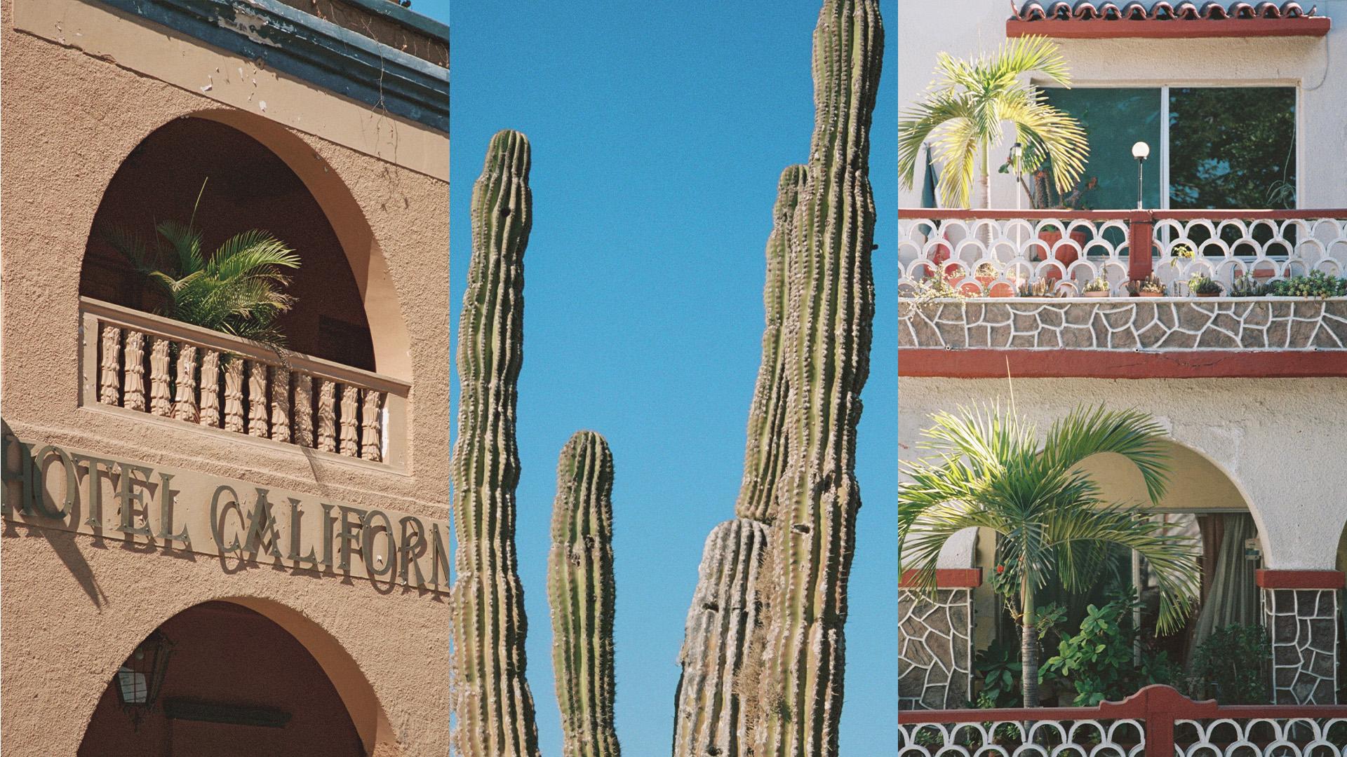 The Wedding Website of Brittney Austin and Christian Crayne