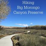 Big Morongo Canyon Preserve