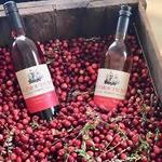 Plymouth Bay Winery