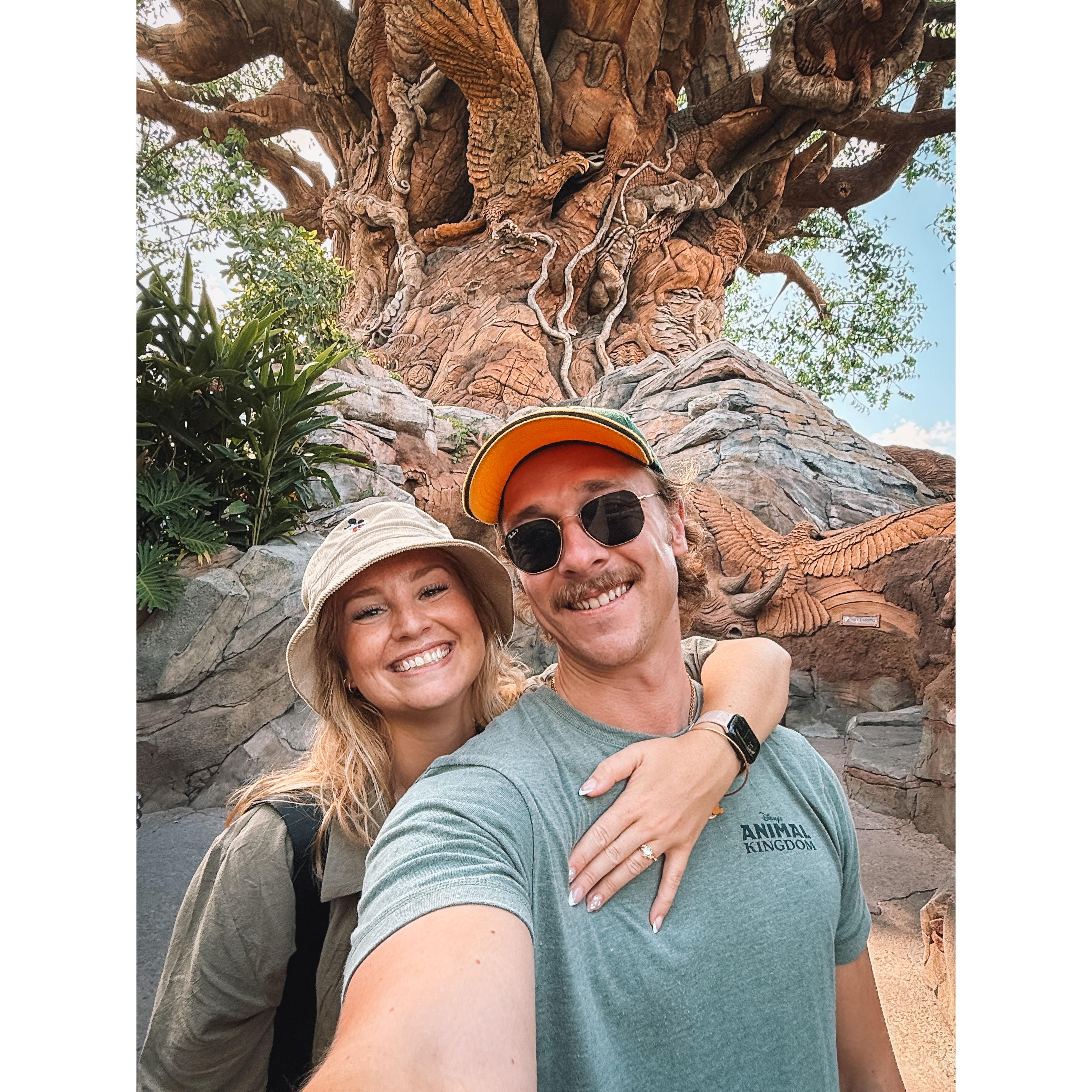 He put a ring on it… and I immediately turned into a hand model