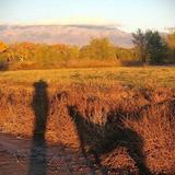 Los Poblanos Open Space