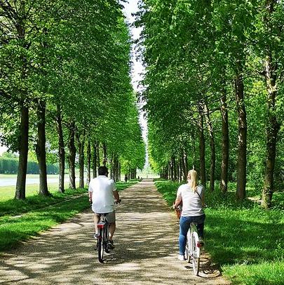 Versailles Bike Tour with Market, Picnic & Palace
