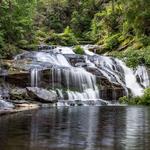 Panther Creek