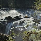 Englishman River Falls Provincial Park