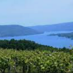 Keuka Lake Wine Trail