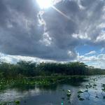 Everglades Holiday Park Airboat Tours and Rides