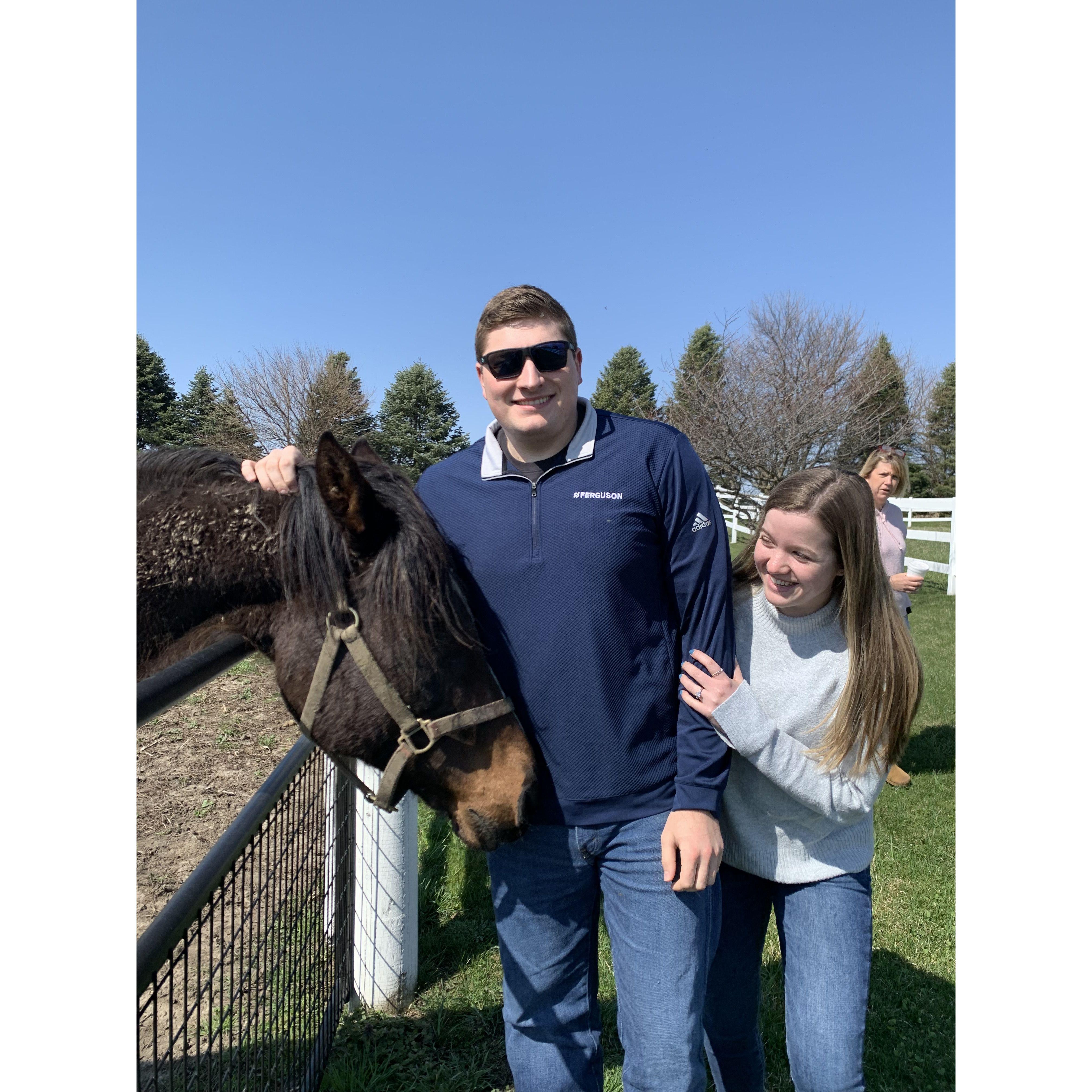 Our first visit to North Fork Farm! The horses really sealed the deal...