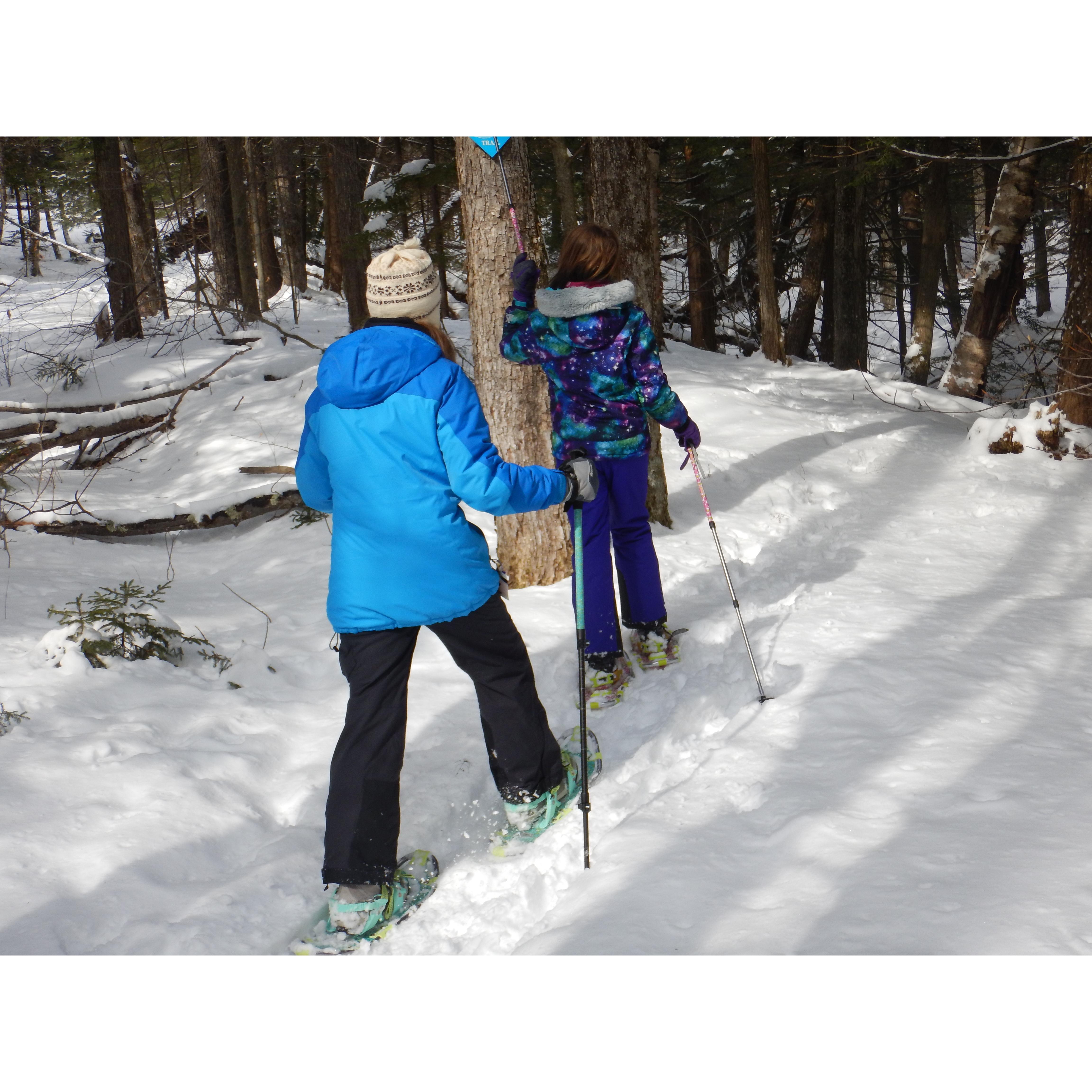 Snowshoeing