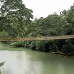 Bohol