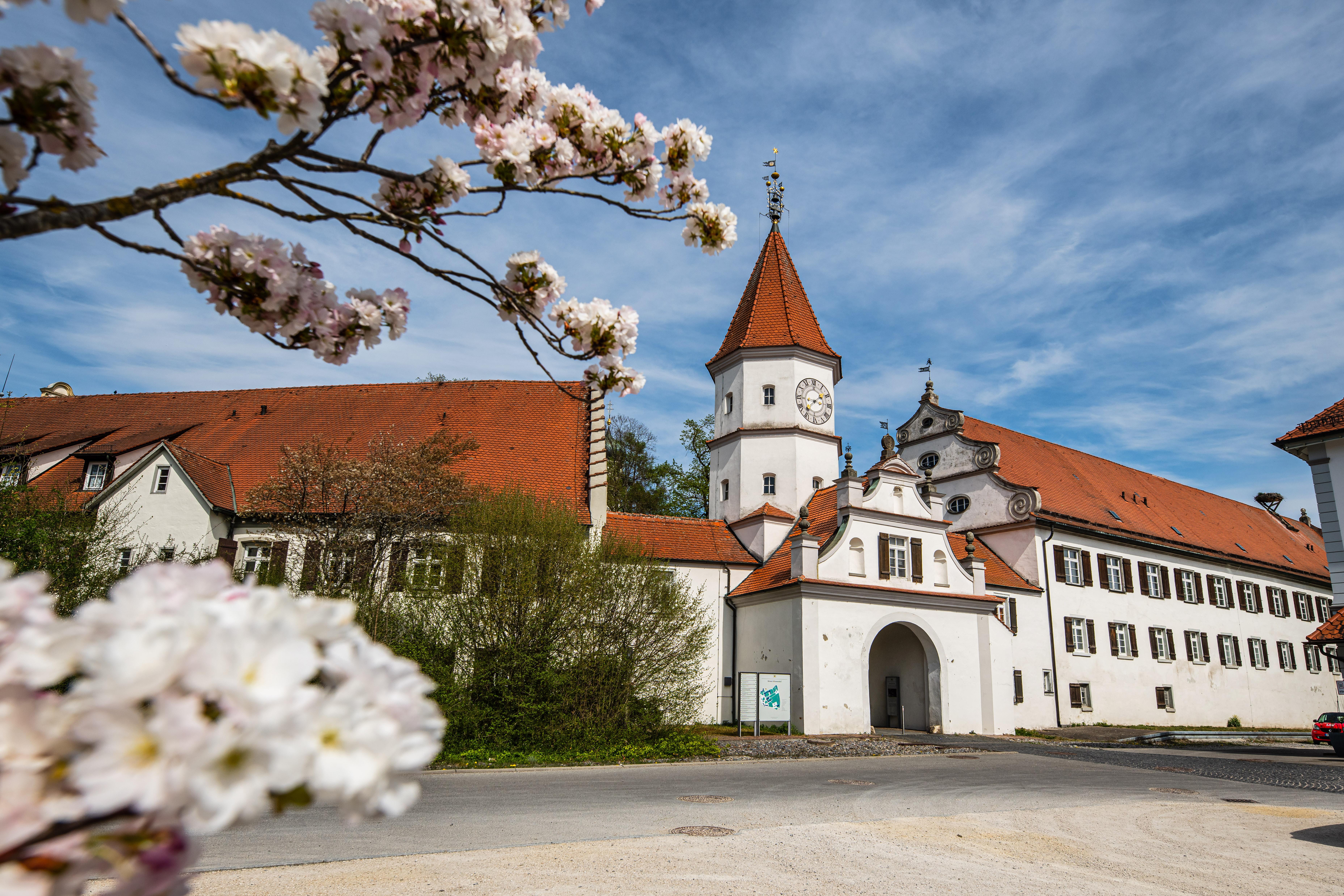 The Wedding Website of Michael Arin and Gina Jostes