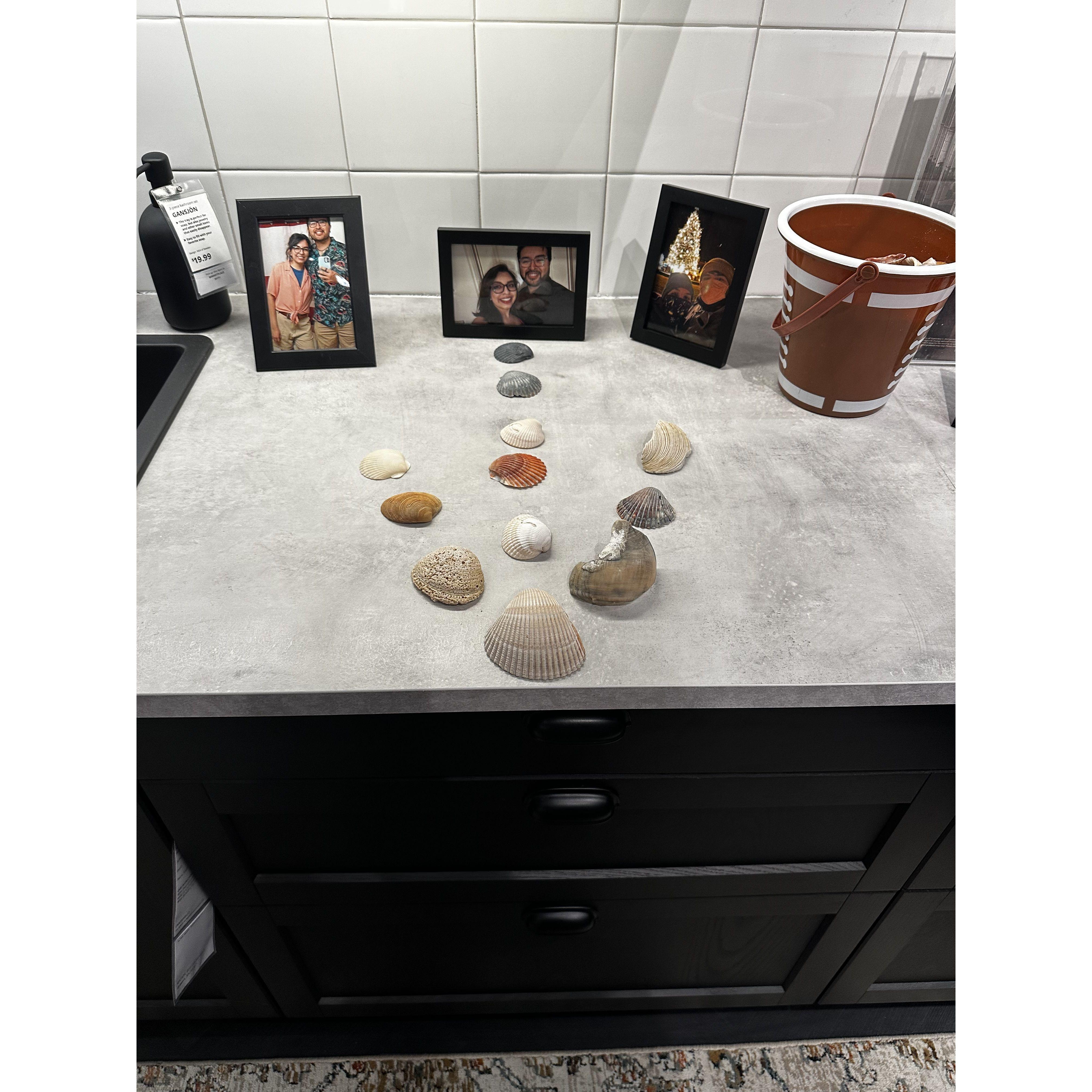 The proposal set up