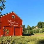 Rosabianca Vineyards